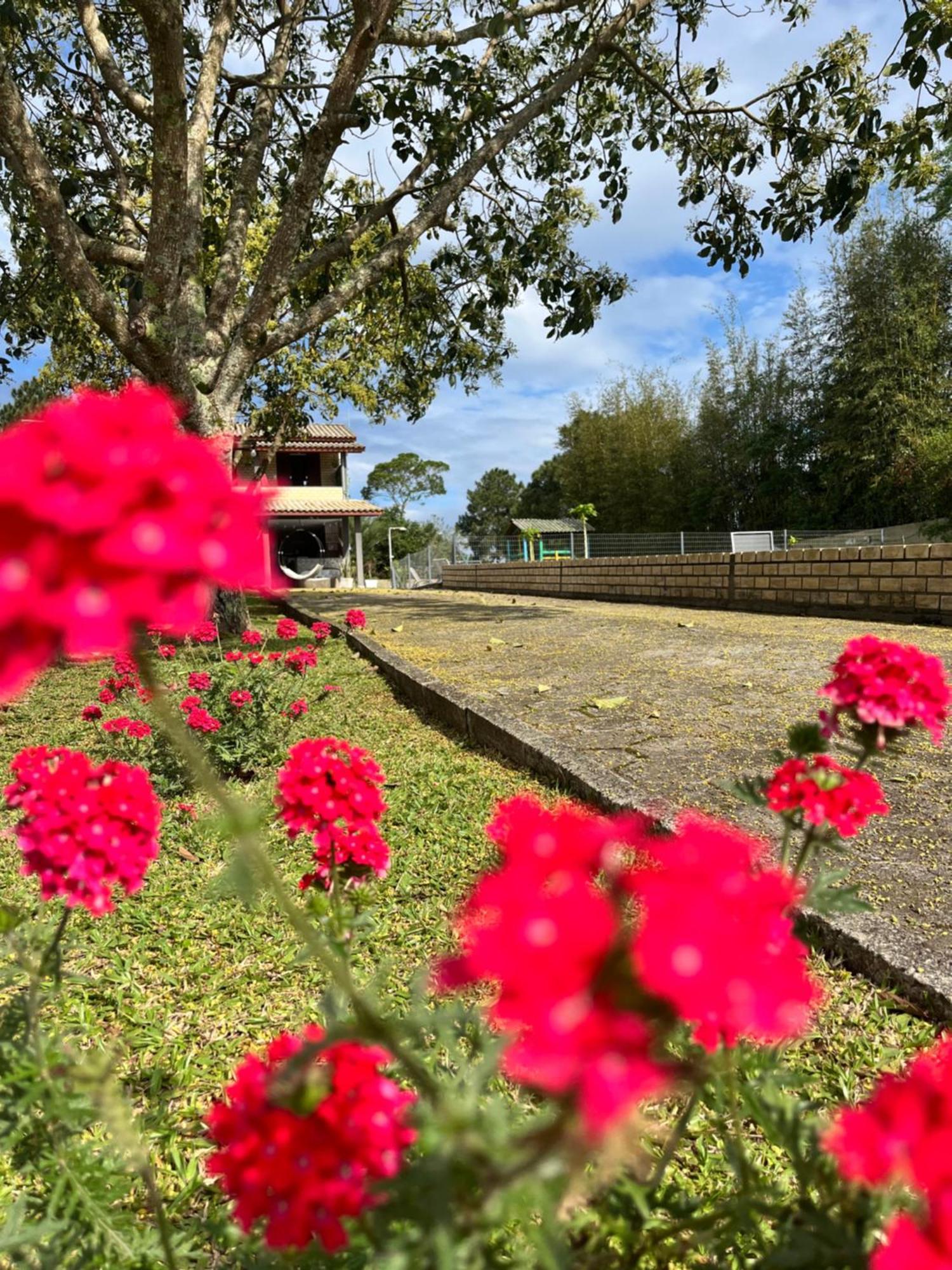 Encantos Do Rosa Imbituba  Eksteriør bilde
